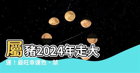 狗 幸運色|【屬狗 幸運色】狗年的幸運色秘密：2024年屬狗好運爆棚指南！